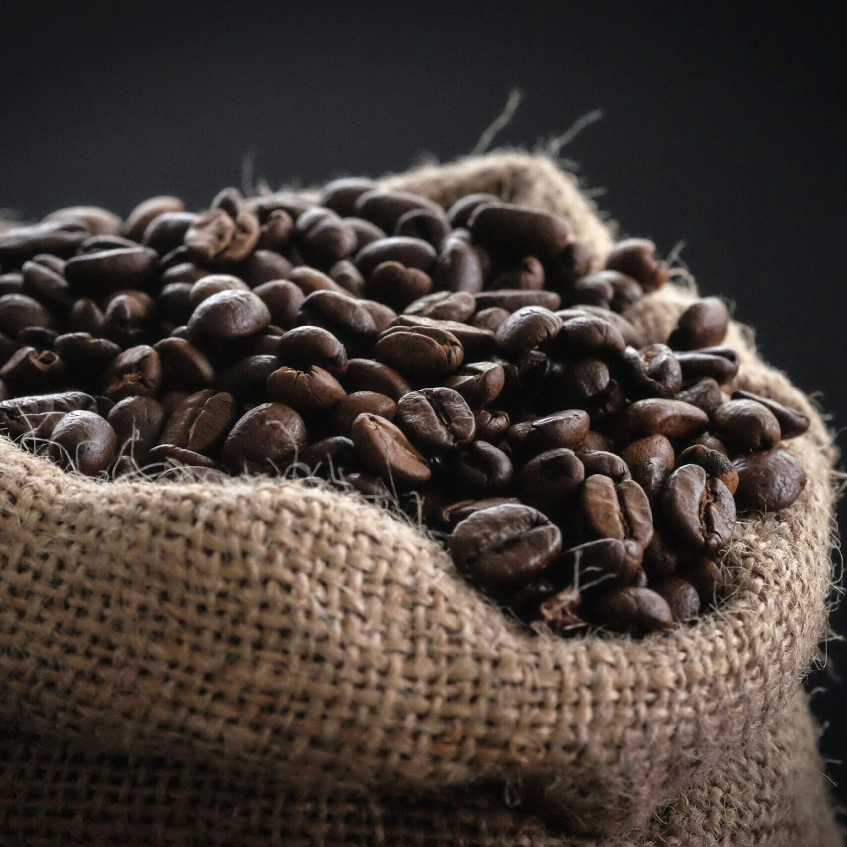 Freshly roasted coffee beans in a burlap sack
